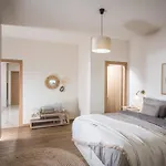New Luxury Apartment Near Airport, Port & Town Center - Sonia City